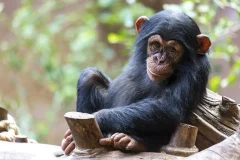Loro Parque