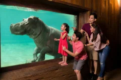 Lost World of Tambun