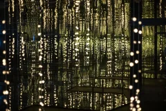 Lumia Gallery
