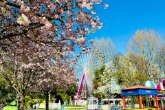 Luneur Park