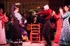 Madrid Flamenco Shows