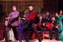 Madrid Flamenco Shows