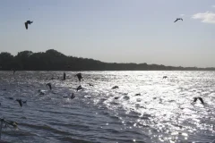 Mandinga Lake