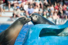 Marineland Mallorca