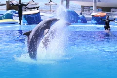 Marineland Mallorca