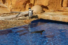 Marineland Mallorca
