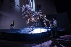 Melbourne Museum