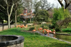 Ménagerie du Jardin des Plantes
