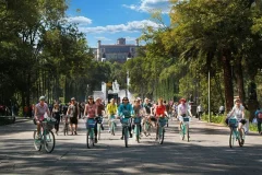Mexico City Tours