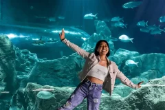 Michin Aquarium Guadalajara