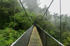 Mistico Arenal Hanging Bridges Park