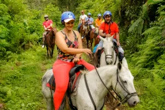 Mistico Arenal Hanging Bridges Park