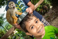 Monkeyland
