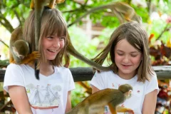 Monkeyland