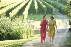 Mornington Peninsula Day Trips from Melbourne