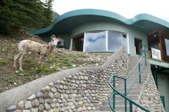 Mount Norquay
