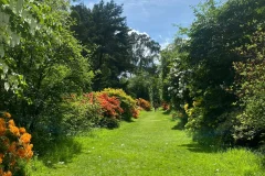 Mount Usher Gardens