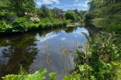 Mount Usher Gardens