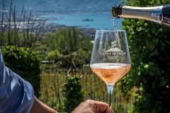 Mount Vesuvius Wine Tours