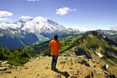 Mt. Rainier National Park
