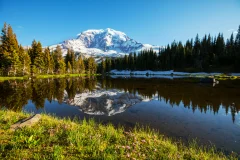 Mt. Rainier National Park