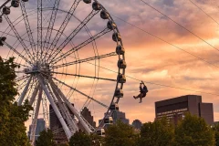 MTL Zipline