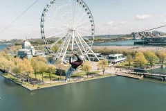 MTL Zipline