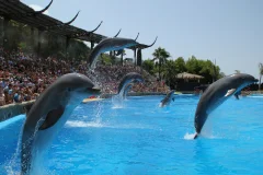 Mundomar Benidorm