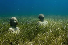 MUSA Cancún Underwater Art Museum
