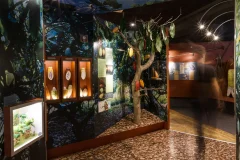 Musée du Chocolat