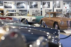 Museo Nicolis