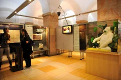 Museu de la Xocolata de Barcelona
