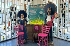 Museum of Tequila and Mezcal