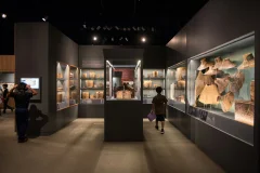 Museum of Vancouver