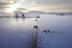 Mývatn Nature Baths