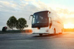 Naples Airport Transfers