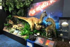 National Dinosaur Museum