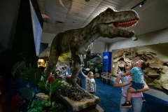 National Dinosaur Museum