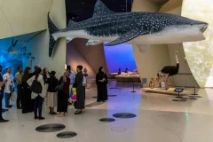 National Museum of Qatar