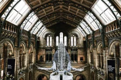 Natural History Museum London