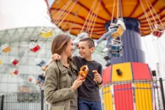 Navy Pier Centennial Wheel