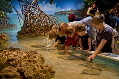 New England Aquarium
