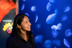 New York Aquarium
