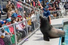 New York Aquarium