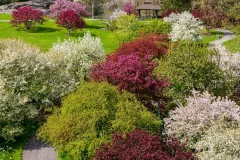 New York Botanical Garden