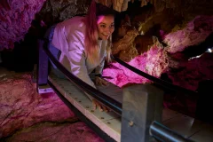 Ngilgi Cave