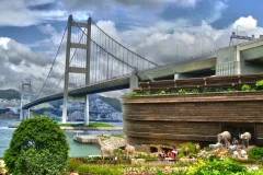 Noah's Ark