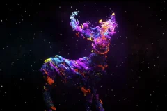 Nomad Immersive Museum