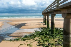 Normandy Day Trips from Paris