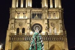 Notre-Dame Cathedral of Paris